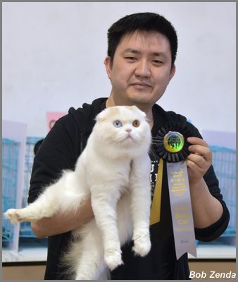 Rumin Benedict Mio Mio